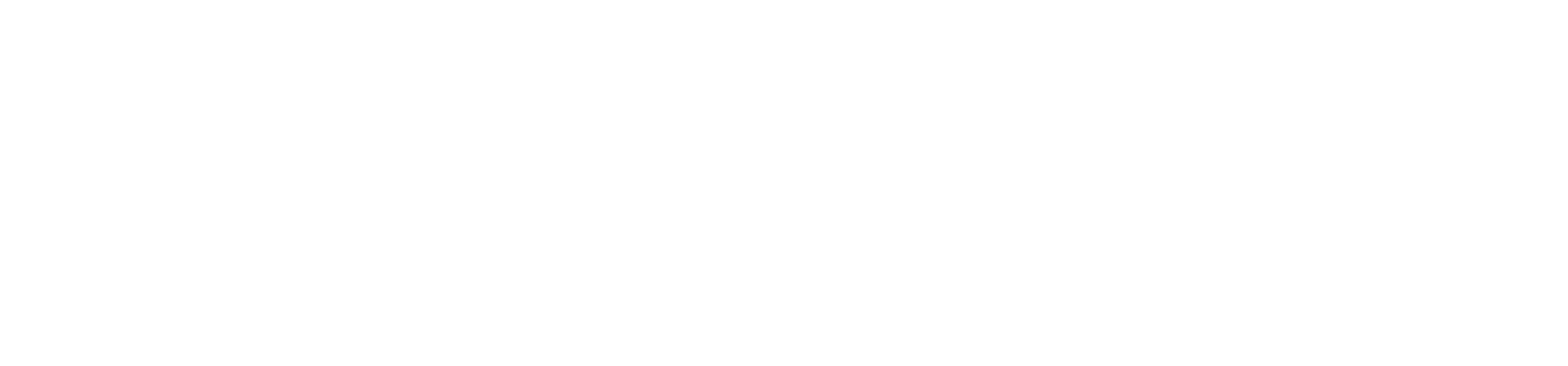 Sentinel Data Logo